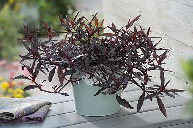 《寂静岭2：重制版》开发团队：希望玩家给我们一个机会